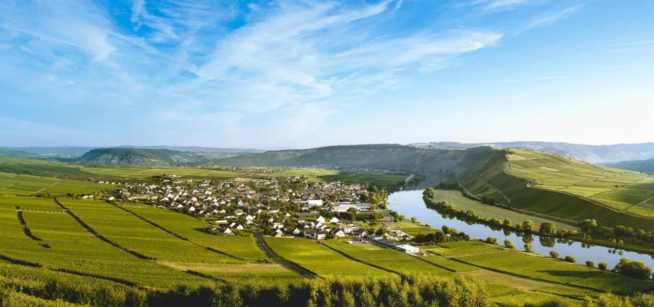 Апартаменти Ferienweingut Ulrike Thul Лайвен Екстер'єр фото