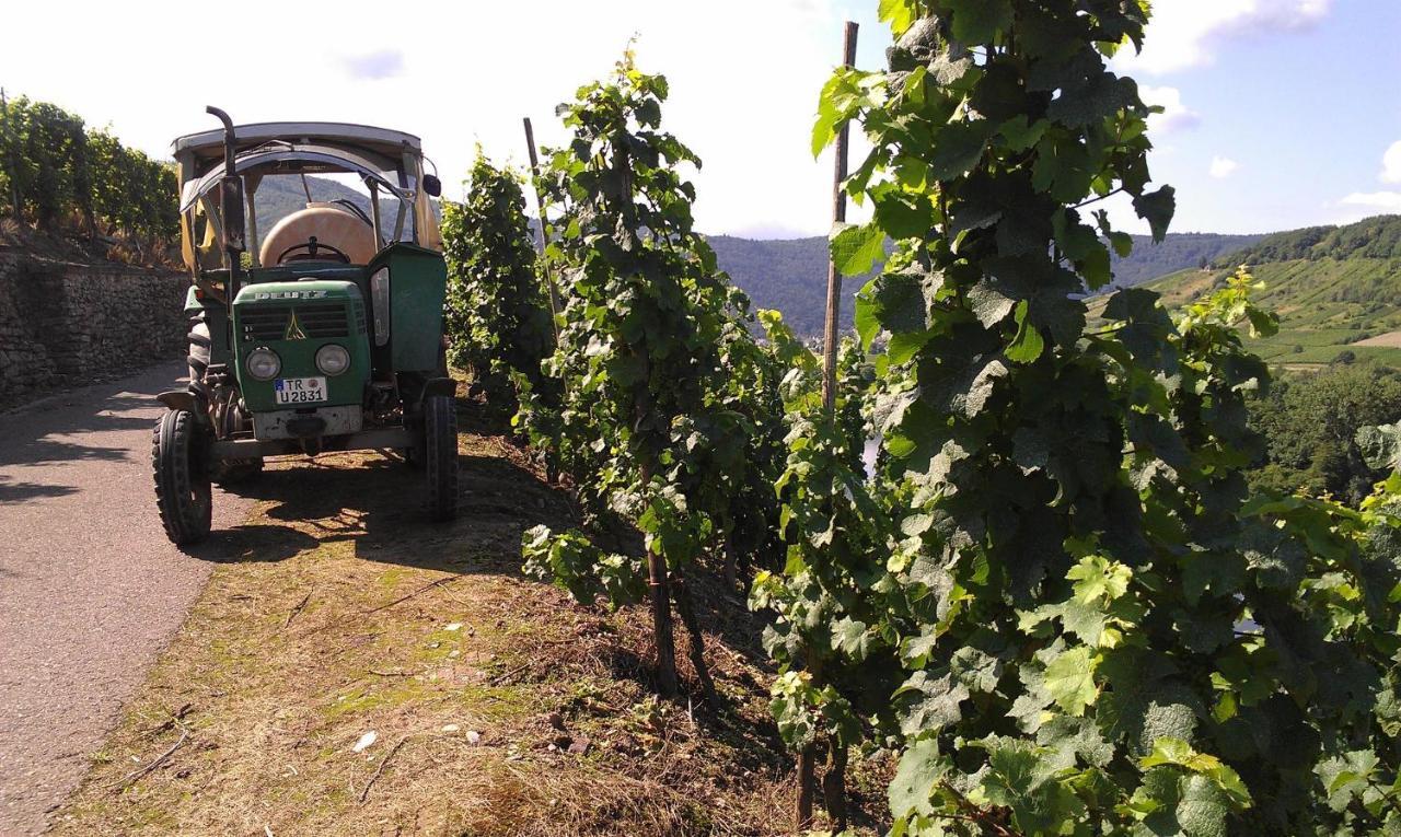 Апартаменти Ferienweingut Ulrike Thul Лайвен Екстер'єр фото