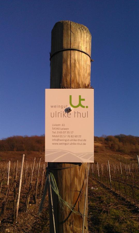 Апартаменти Ferienweingut Ulrike Thul Лайвен Екстер'єр фото